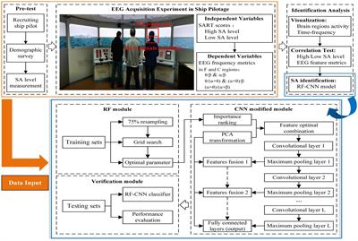 EEG-based analysis for pilots’ at-risk cognitive competency identification using RF-CNN algorithm
